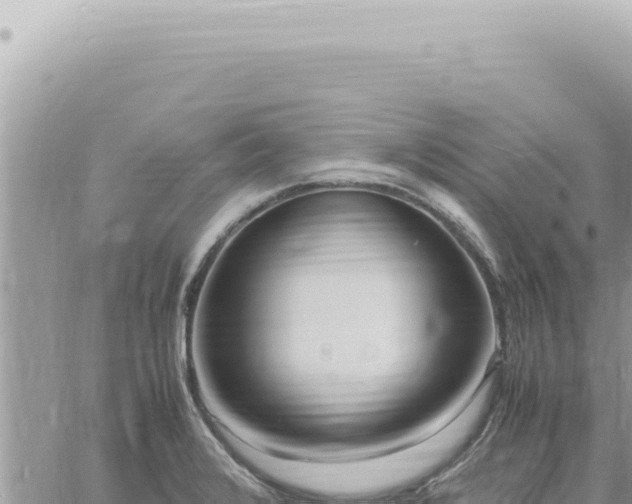 X0000060771376200511171202