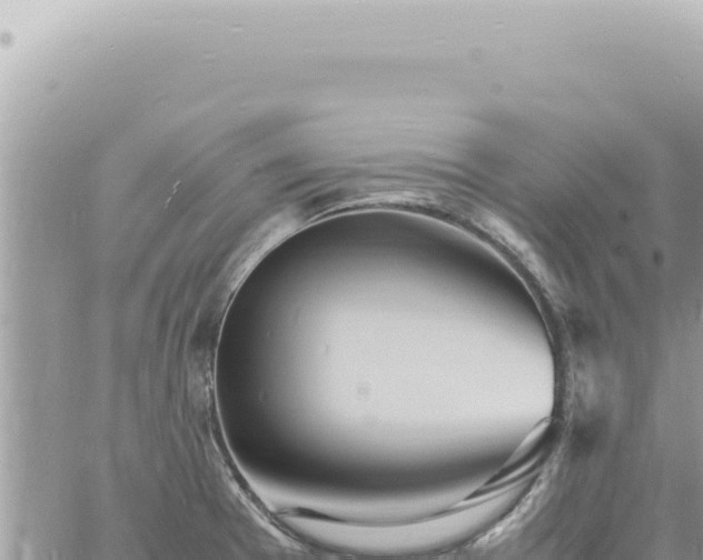 X0000060771377200511171202