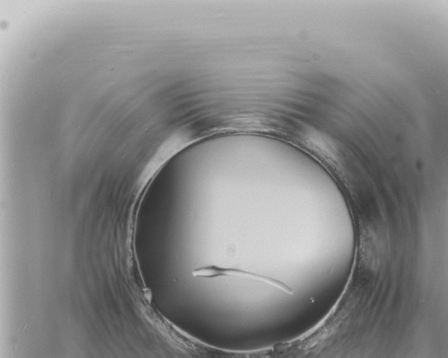 X0000060771378200511171202