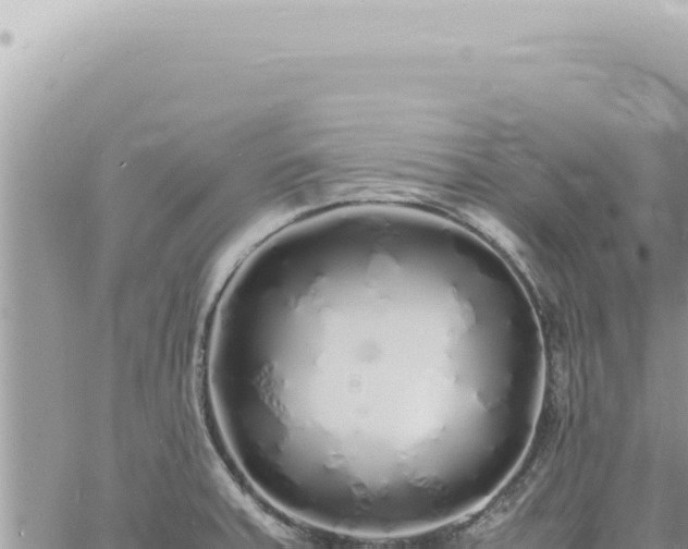 X0000060771379200511171202