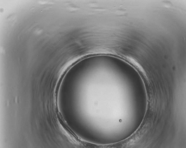 X0000060771380200511171202