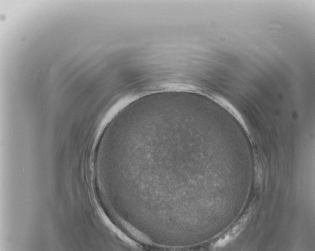 X0000060771381200511171202