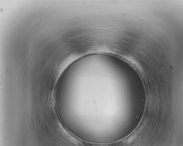 X0000060771382200511171202