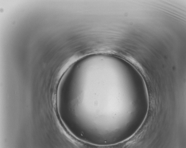 X0000060771383200511171202