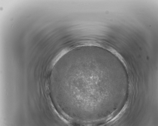 X0000060771385200511171202