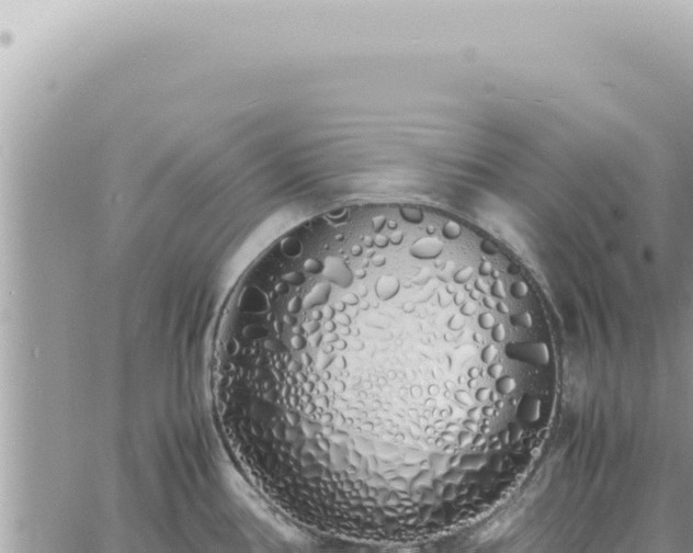 X0000060771386200511171202