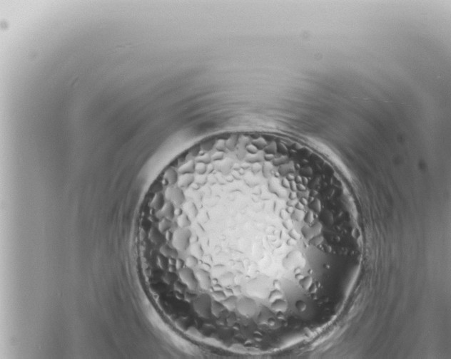 X0000060771387200511171202