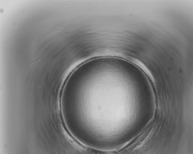 X0000060771388200511171202