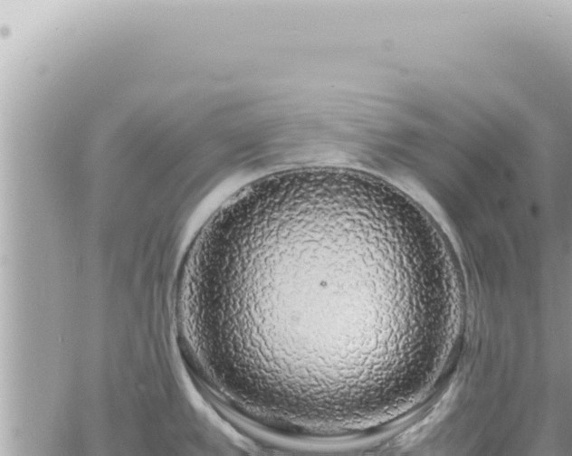 X0000060771389200511171202