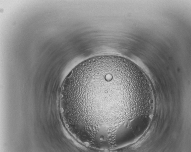 X0000060771390200511171202