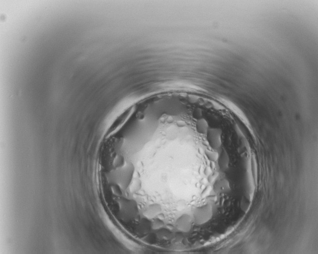 X0000060771391200511171202