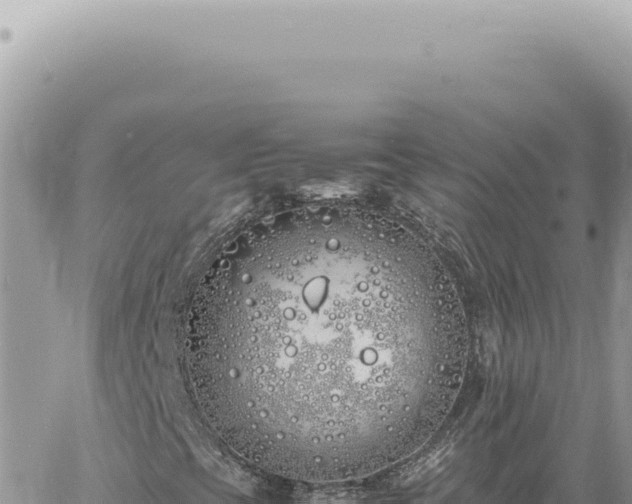 X0000060771393200511171201