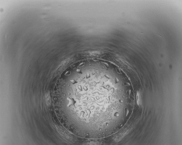 X0000060771395200511171201