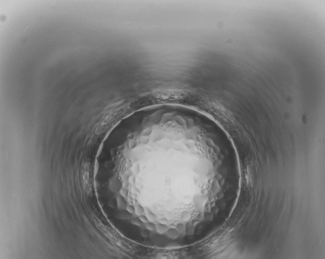 X0000060771396200511171201