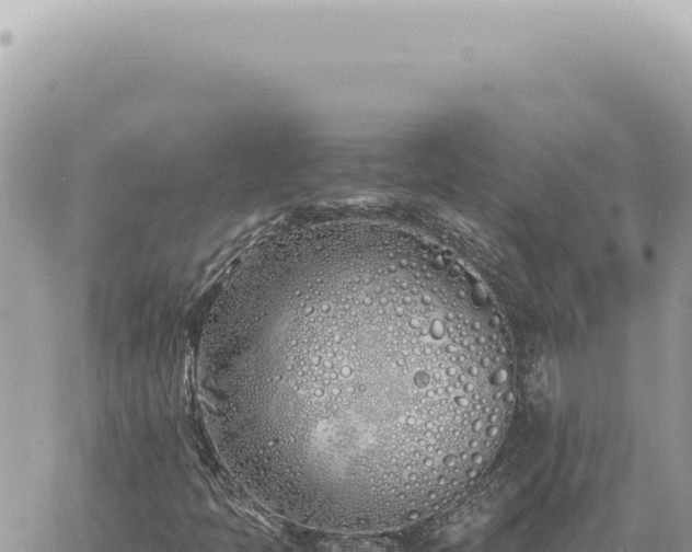 X0000060771397200511171201