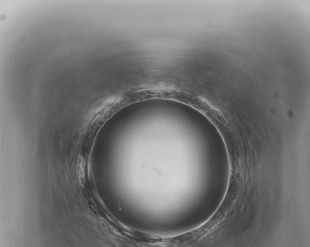 X0000060771398200511171201