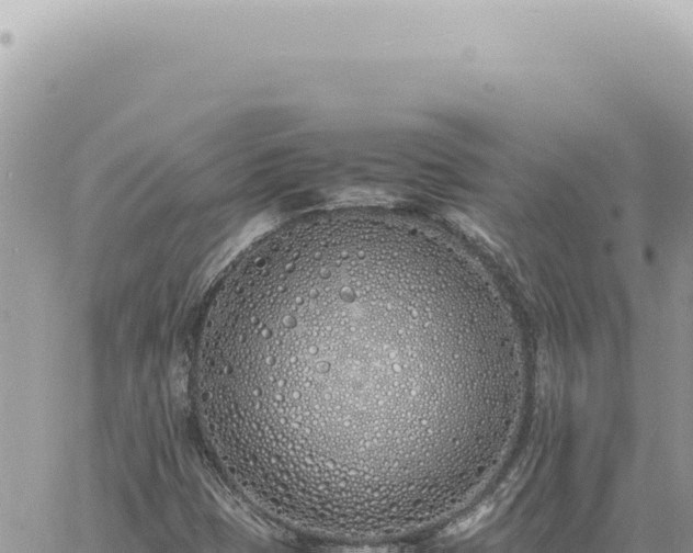 X0000060771401200511171201