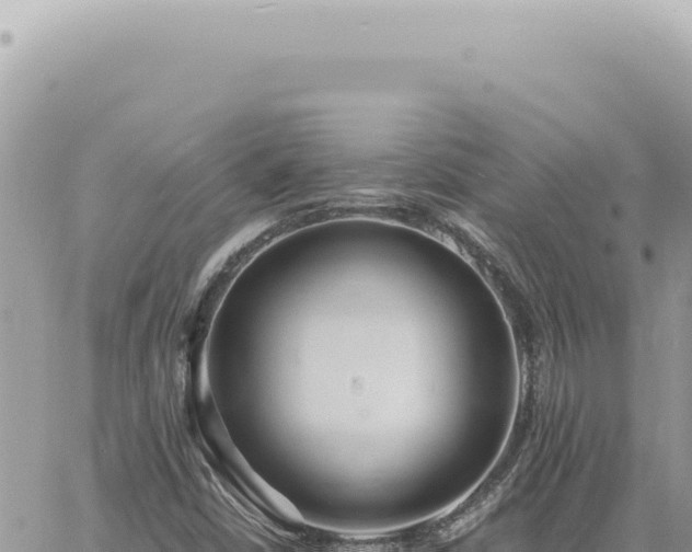 X0000060771402200511171201