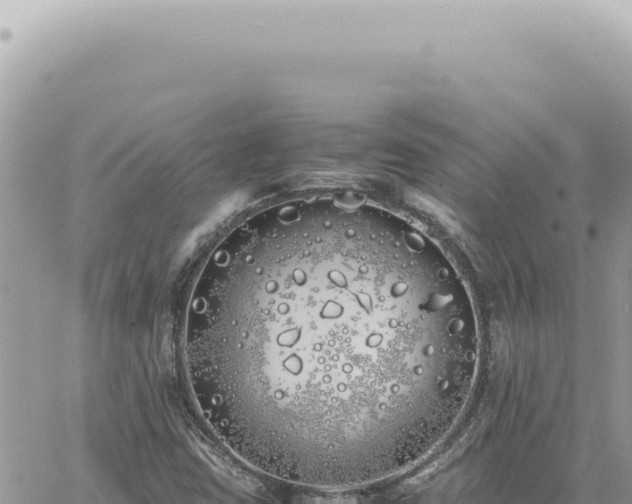 X0000060771403200511171201