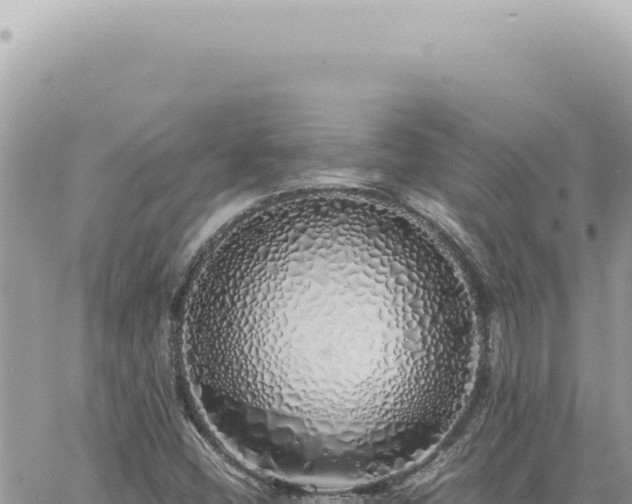 X0000060771404200511171201