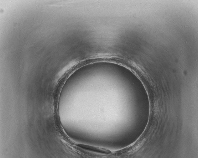 X0000060771406200511171201