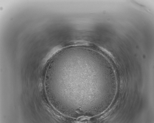 X0000060771407200511171201