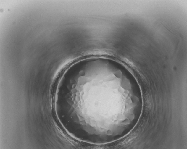 X0000060771408200511171201