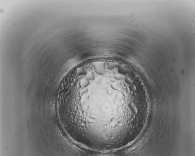 X0000060771409200511171201