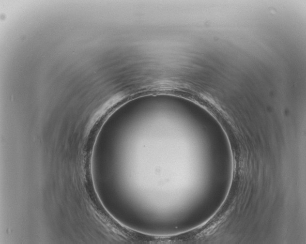 X0000060771410200511171201