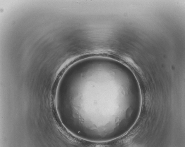 X0000060771412200511171202