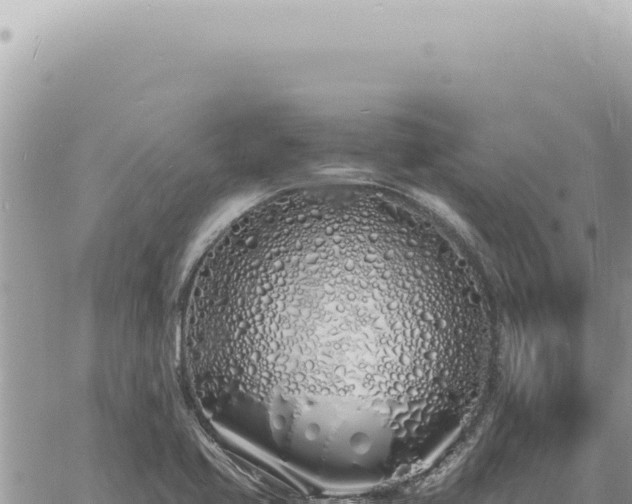 X0000060771413200511171202