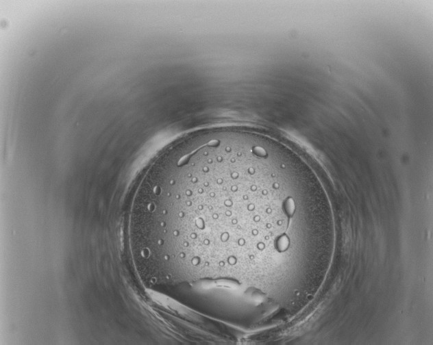 X0000060771415200511171202