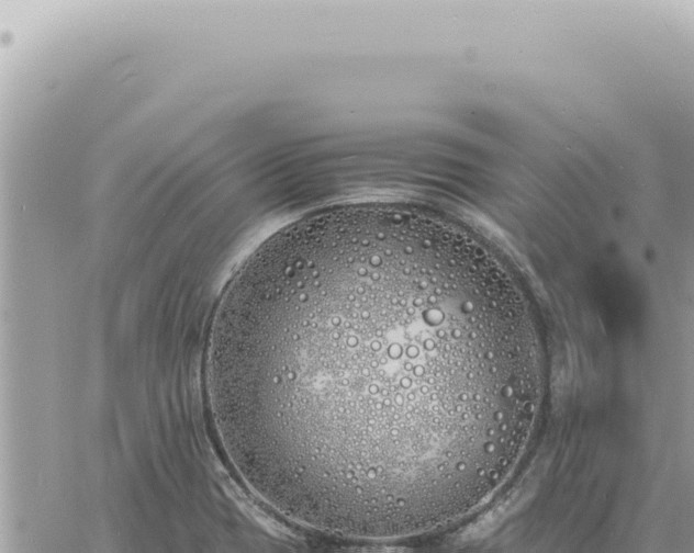 X0000060771417200511171202