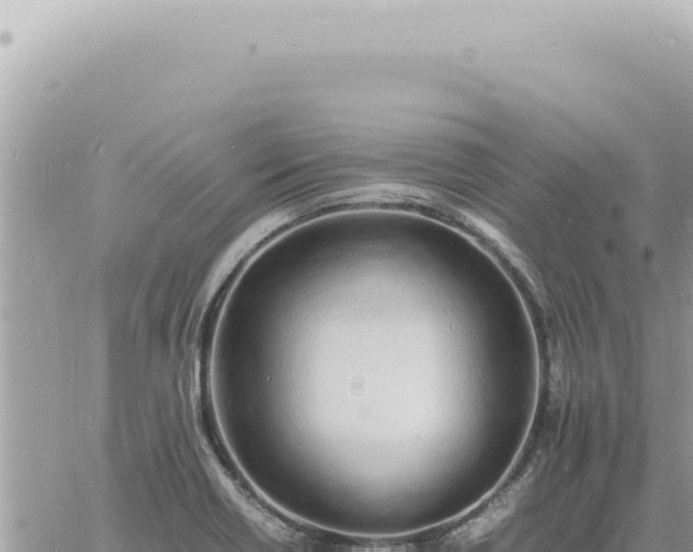 X0000060771418200511171202