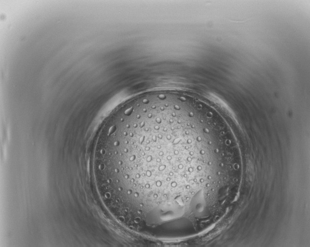 X0000060771419200511171202