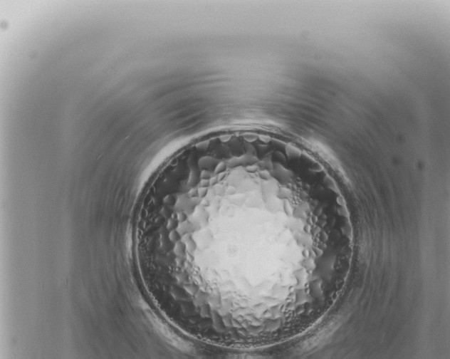 X0000060771420200511171202