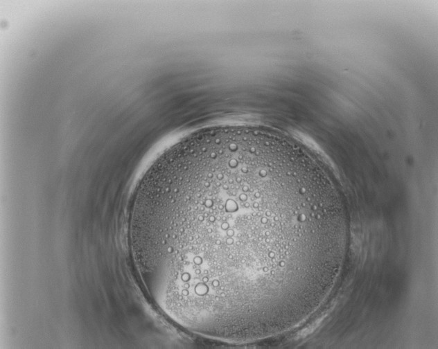 X0000060771421200511171202