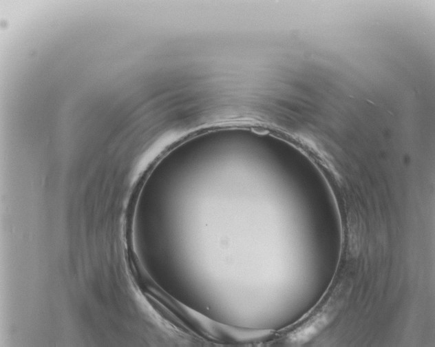 X0000060771422200511171202