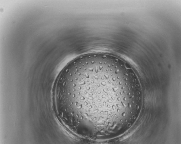 X0000060771423200511171202