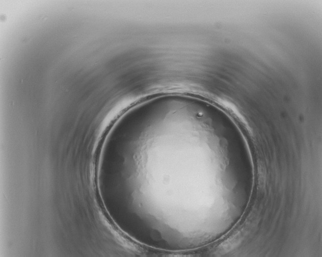 X0000060771424200511171202