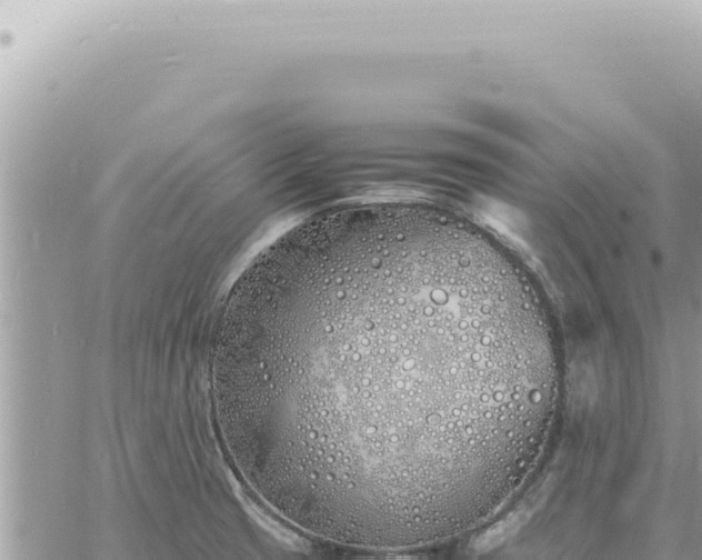 X0000060771425200511171202