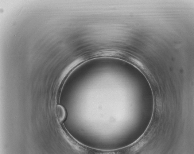 X0000060771426200511171202