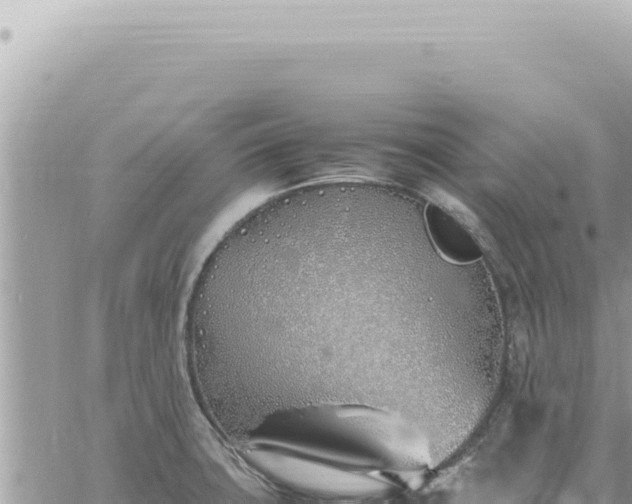 X0000060771427200511171202