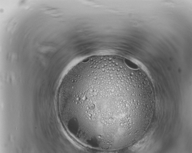 X0000060771429200511171202