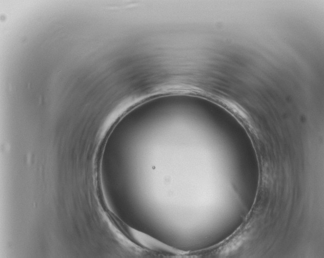 X0000060771430200511171202