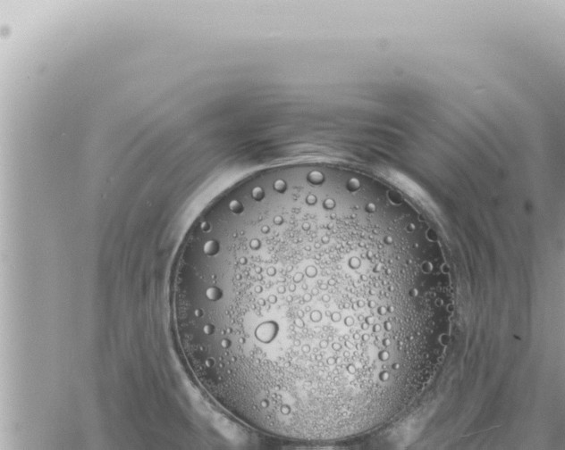 X0000060771431200511171202