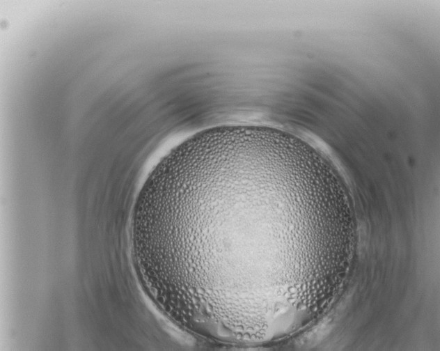 X0000060771432200511171202