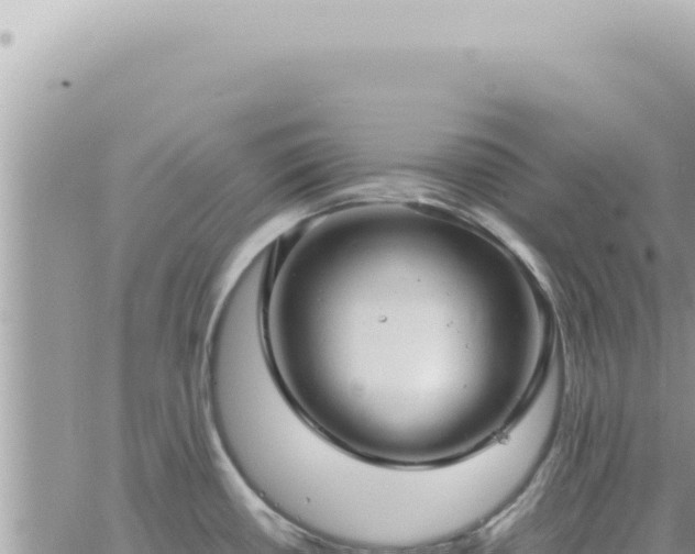 X0000060771434200511171202