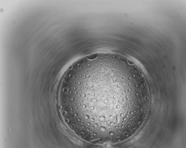 X0000060771435200511171202