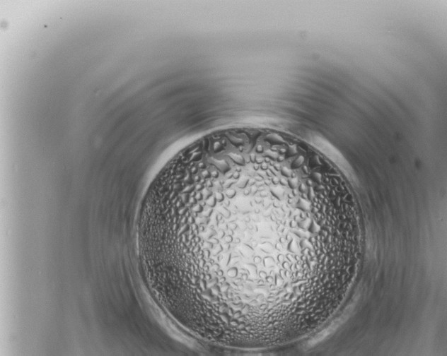 X0000060771436200511171202